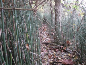 Who knows where it will lead.