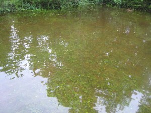 Tell me what you can see here.