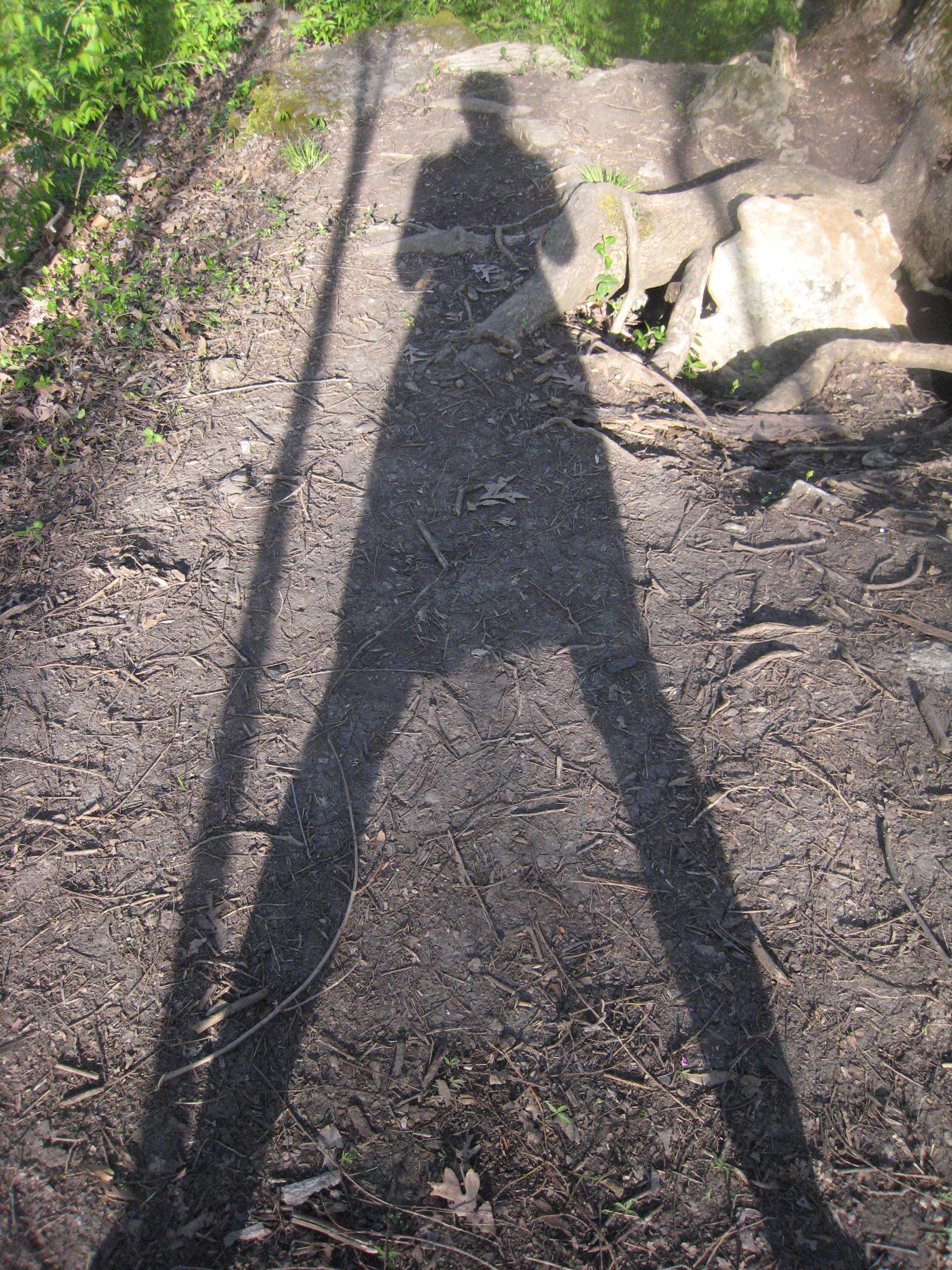 shadow of person on wooded trail
