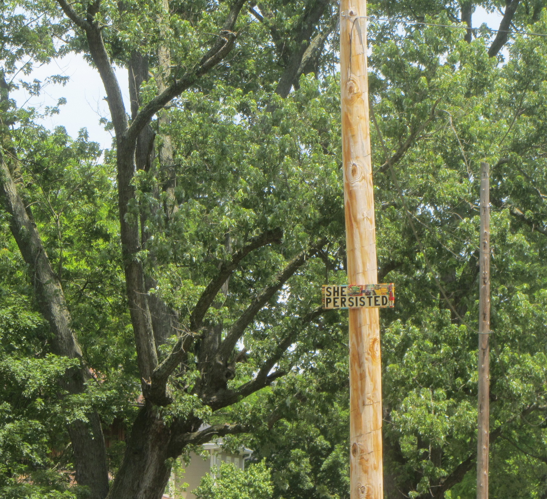 IMG_8063 - Version 2