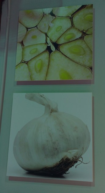 two images of garlic (top-cross section of cloves, then bottom, whole head)