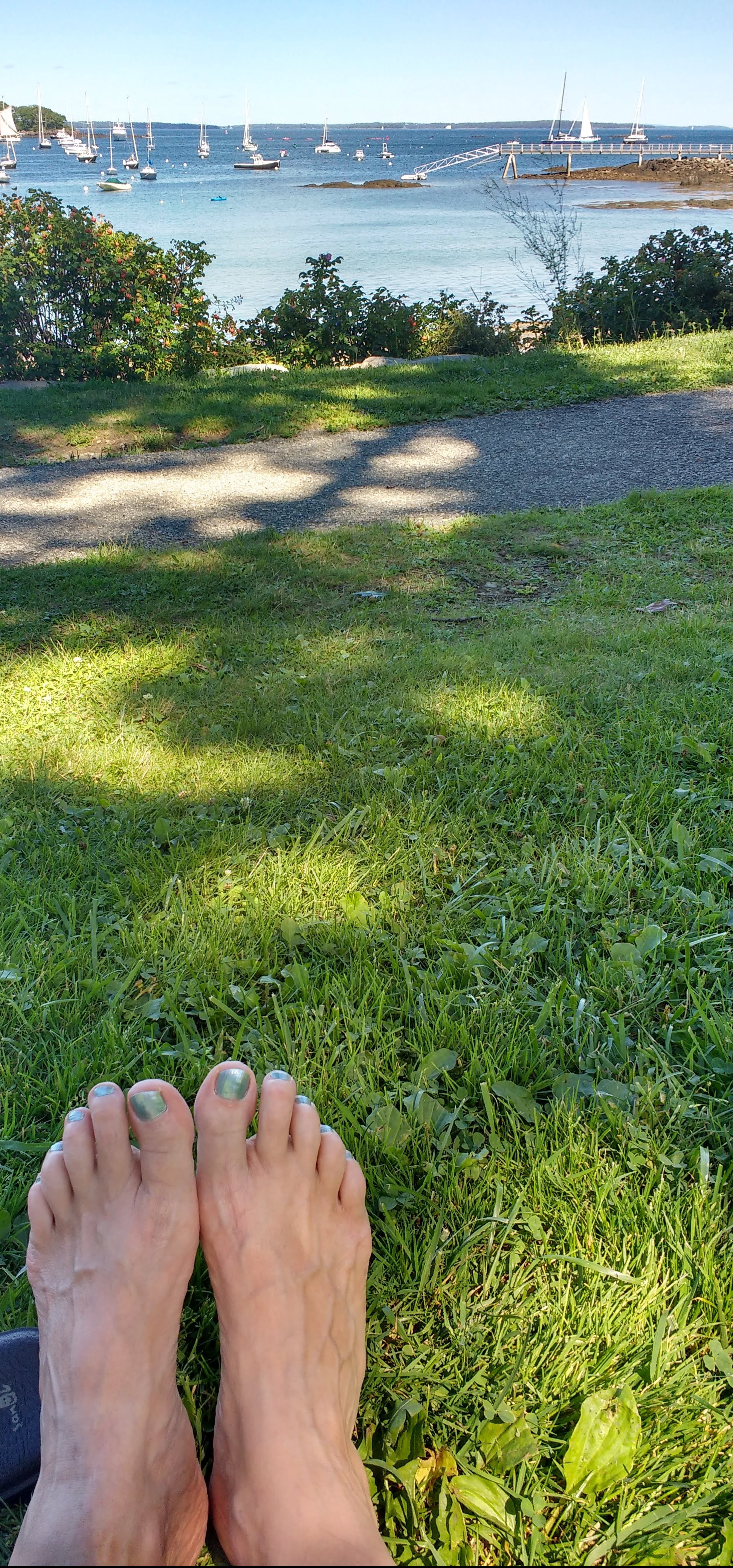 Laite Memorial Beach, Camden, ME, August 2018