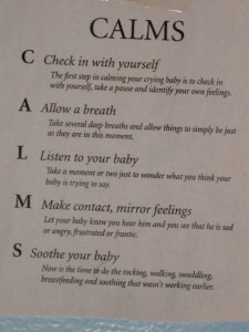 check in with yourself, allow a breath, listen to your baby, make contact, mirror feelings, soothe your baby