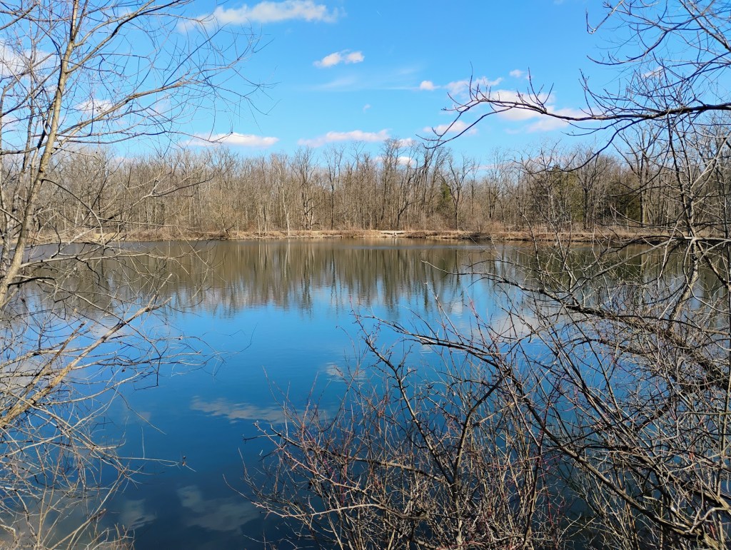 photo of pond, blue sky reflecting in the water